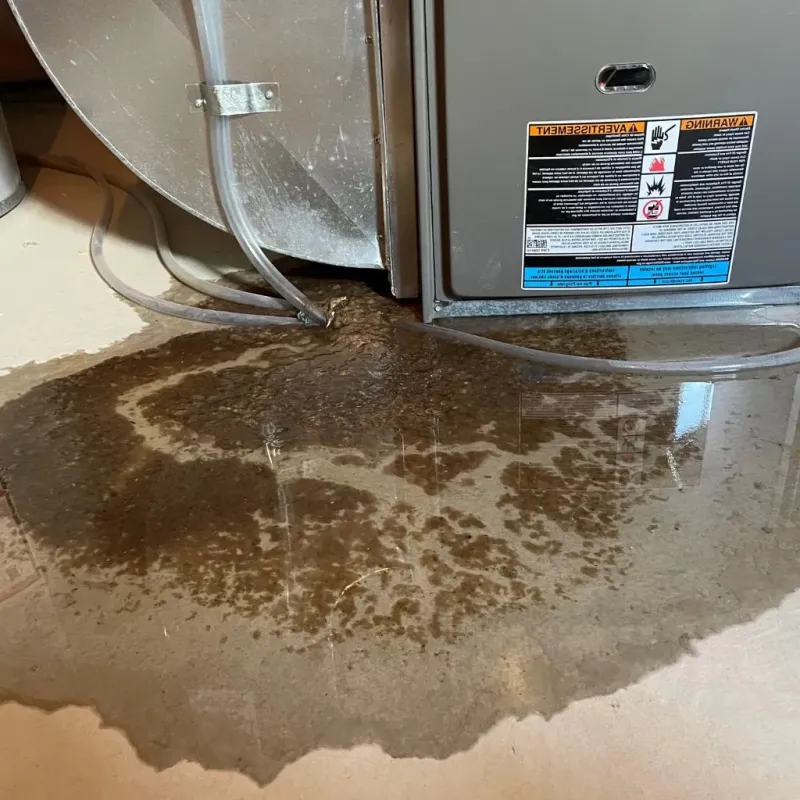 Pipe Burst and Leak Restoration in New Ulm, MN