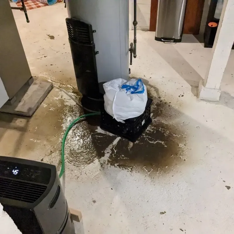Sewage Backup Cleanup Service in New Ulm, MN